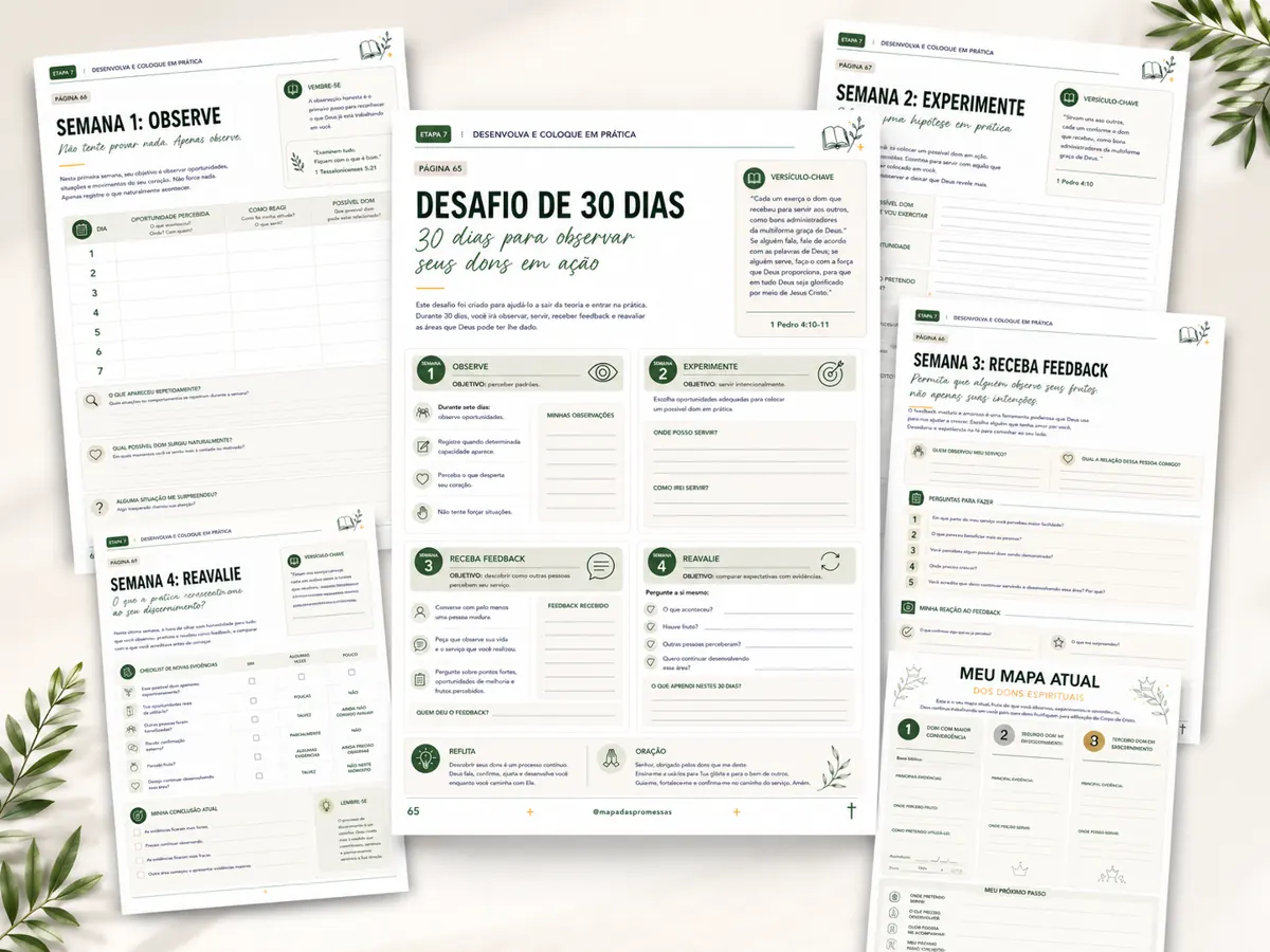 Páginas do Plano de Desenvolvimento de 30 dias